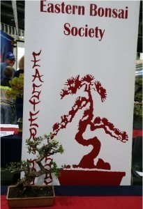 The patience and dedication of the Bonsai Society came across in their work